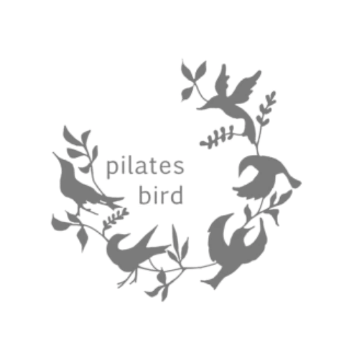 pilates bird 